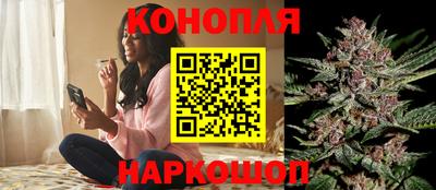 PSILOCYBIN Камышлов