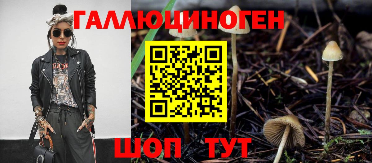 Псилоцибиновые грибы Psilocybine cubensis  Псилоцибиновые грибы ЛСД  Комсомольск-на-Амуре  Вход с VPN 